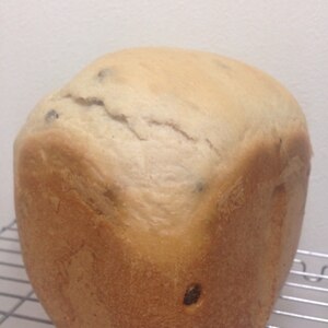 【ホームベーカリー】ＨＢおからレーズン食パン